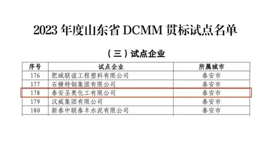 泰安圣奧成功入選山東省DCMM貫標(biāo)試點(diǎn)企業(yè)名單