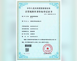 圣奧化學(xué)首次獲得國(guó)家版權(quán)局計(jì)算機(jī)軟件著作權(quán)